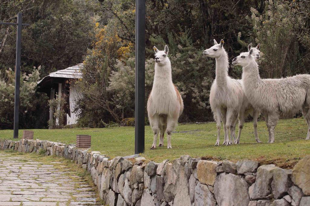 Hacienda Hosteria Dos Chorreras Cuenca Zewnętrze zdjęcie