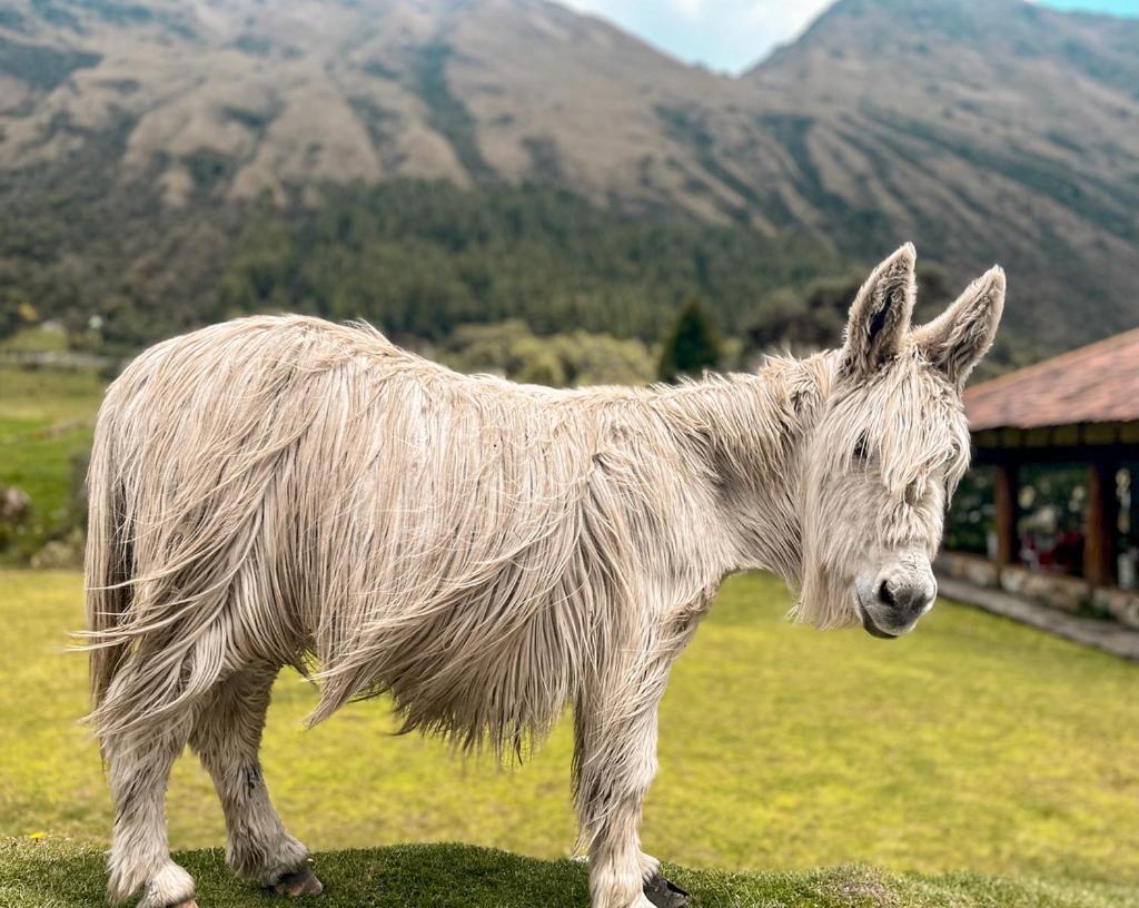 Hacienda Hosteria Dos Chorreras Cuenca Zewnętrze zdjęcie